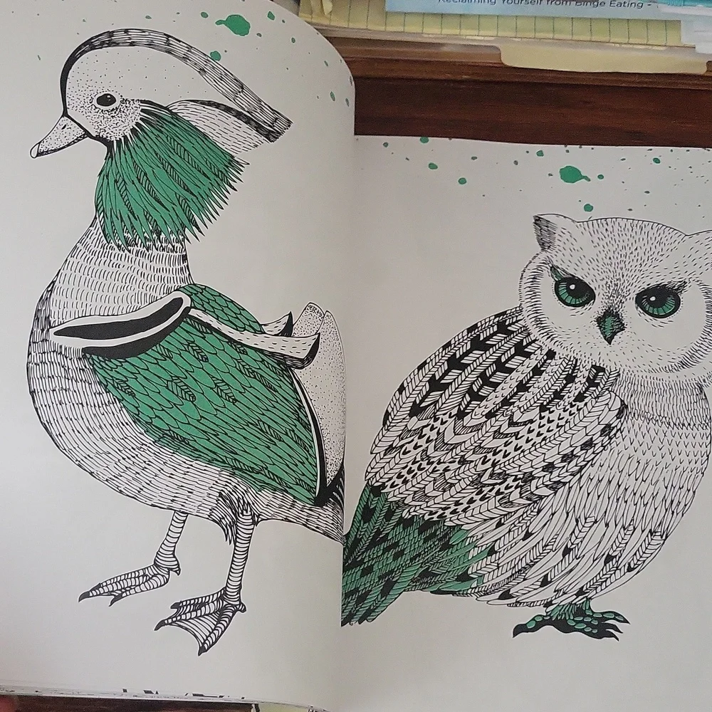 NWT Adult Coloring Book